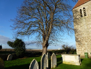 View from Pidley cum Fenton churchyard.